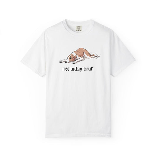 Borzoi Not Today Bruh T-Shirt