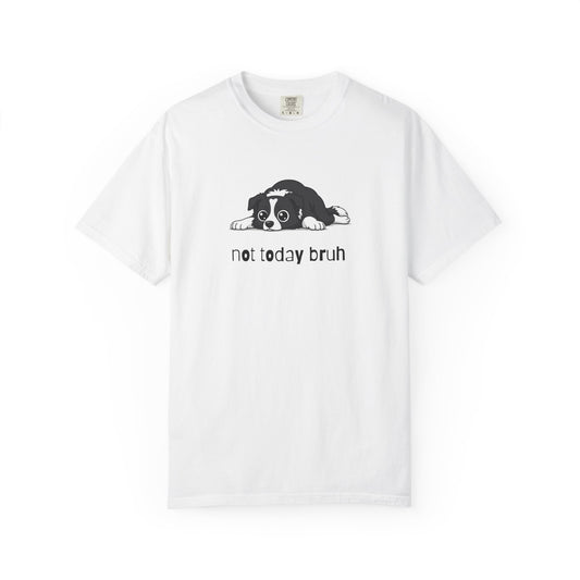 Border Collie Not Today Bruh T-Shirt