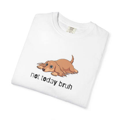 Dacshund Not Today Bruh T-Shirt