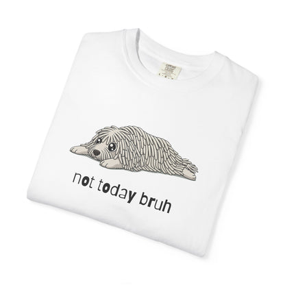 Komondor Not Today Bruh T-Shirt