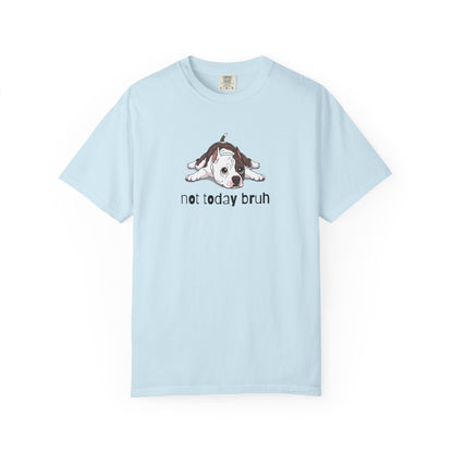 Staffy Not Today Bruh T-Shirt