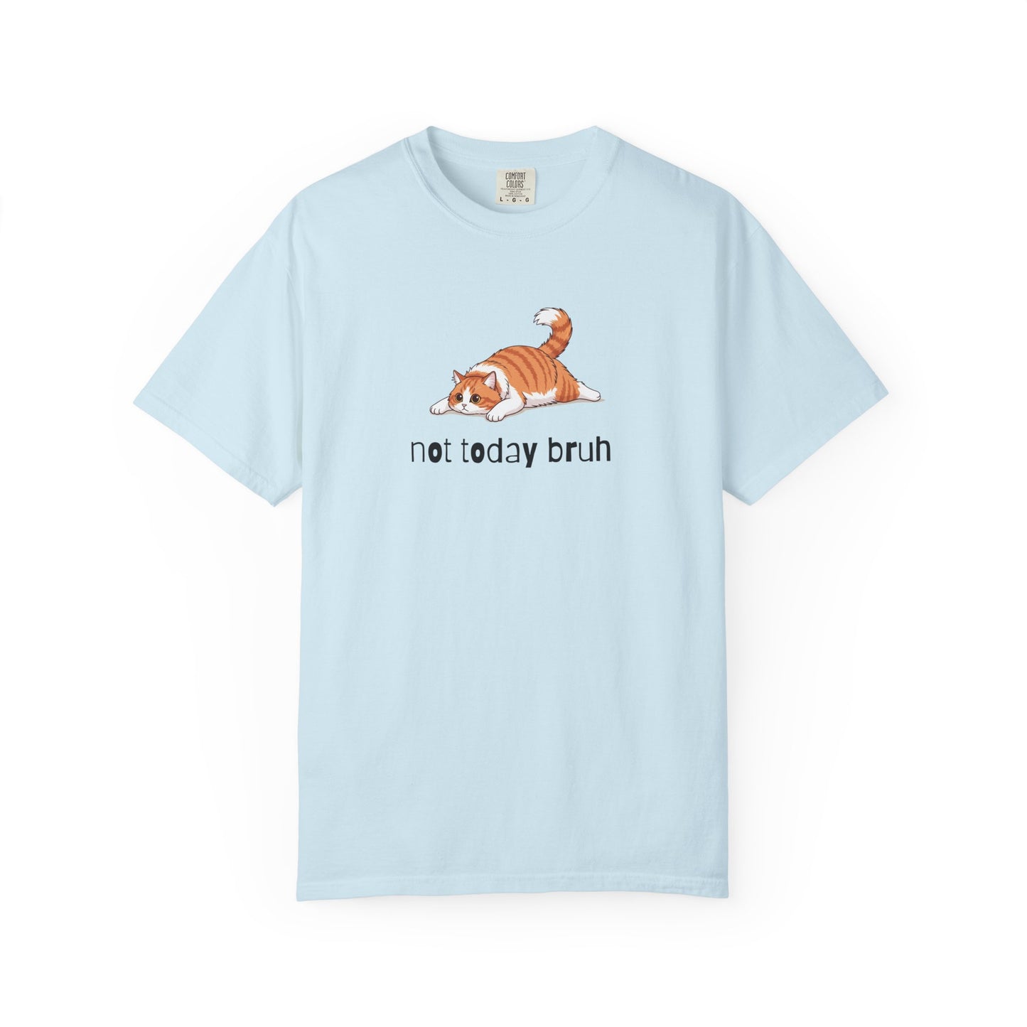 Long hair bi-color orange cat Not Today Bruh T-Shirt