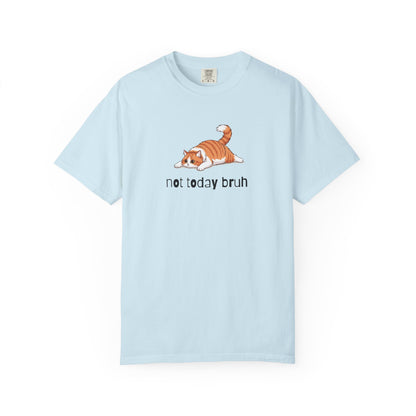 Long hair bi-color orange cat Not Today Bruh T-Shirt