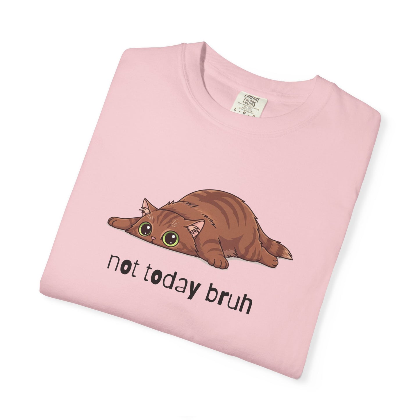 Long hair brown cat Not Today Bruh T-Shirt