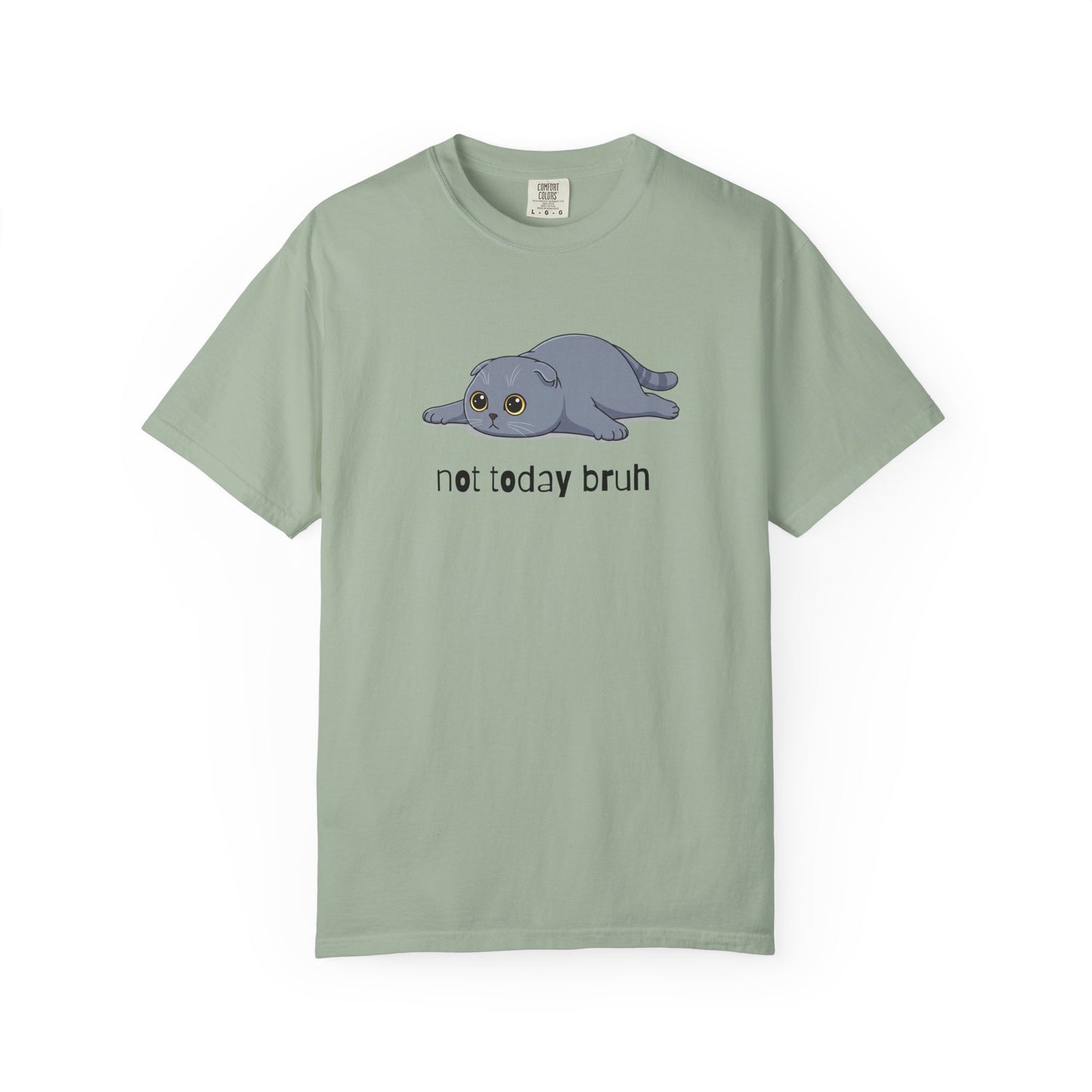 Scottish Fold Not Today Bruh T-Shirt