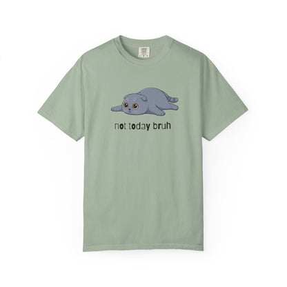 Scottish Fold Not Today Bruh T-Shirt