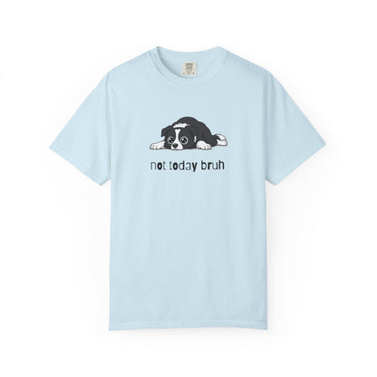 Border Collie Not Today Bruh T-Shirt