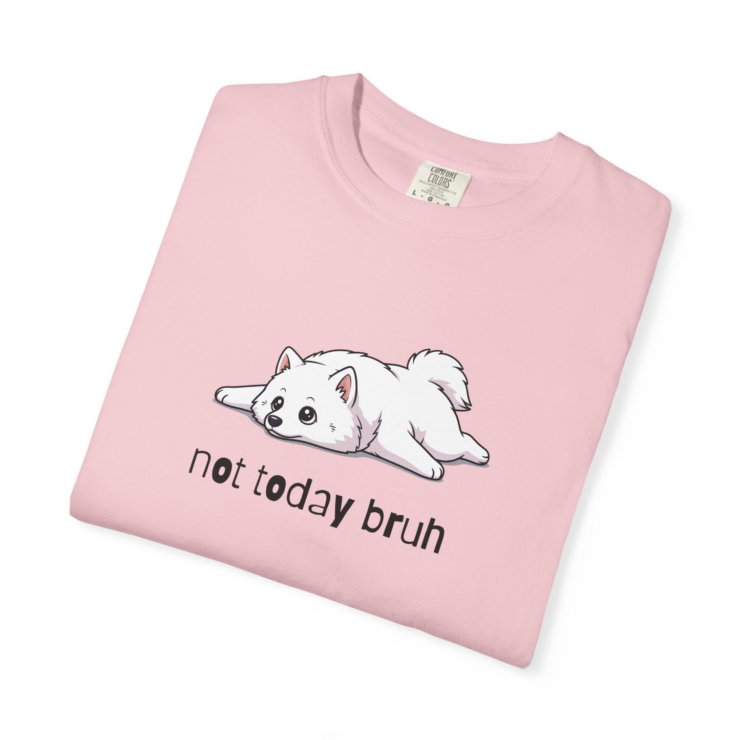 Samoyed Not Today Bruh T-Shirt
