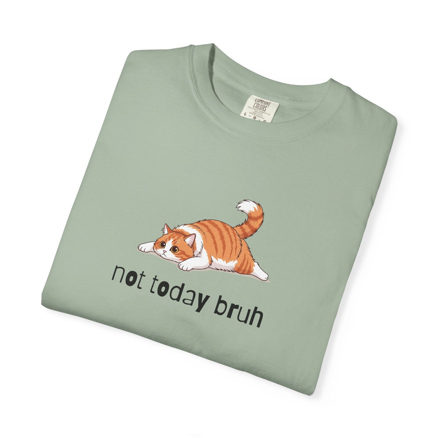 Long hair bi-color orange cat Not Today Bruh T-Shirt