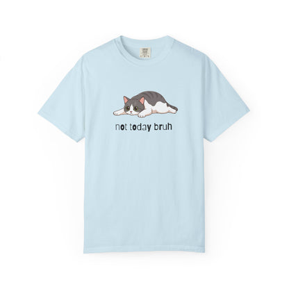 Short hair bi-color gray cat Not Today Bruh T-Shirt