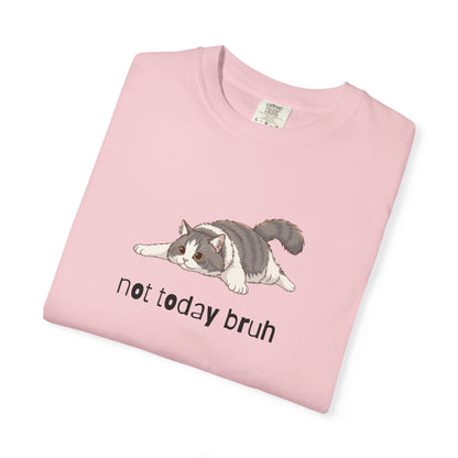 Long hair bi-color gray cat Not Today Bruh T-Shirt