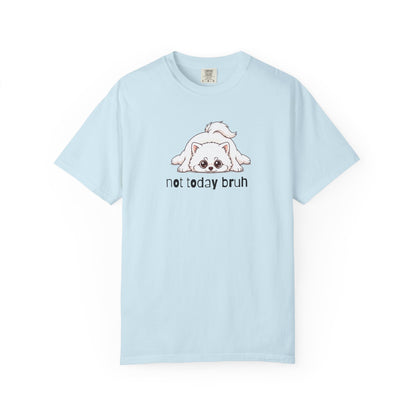Pomeranian Not Today Bruh T-Shirt