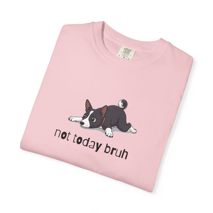 Basenji Not Today Bruh T-Shirt