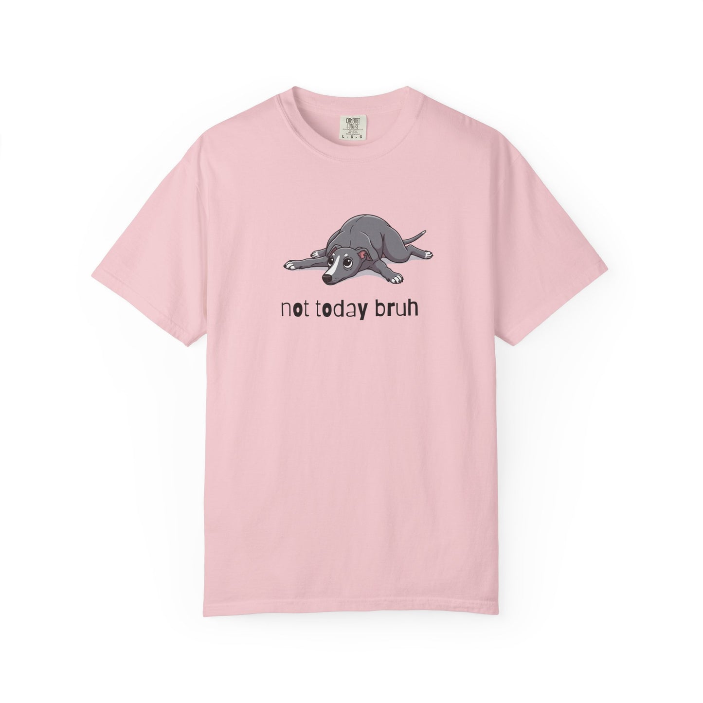 Greyhound Not Today Bruh T-Shirt