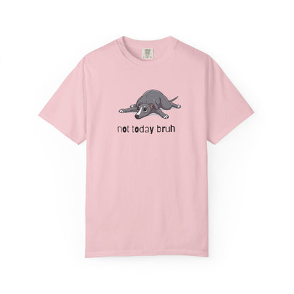 Greyhound Not Today Bruh T-Shirt
