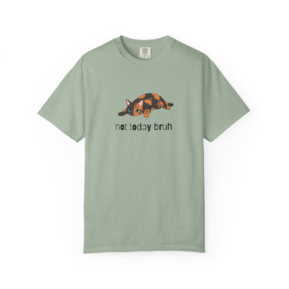 Short hair chimera cat Not Today Bruh T-Shirt