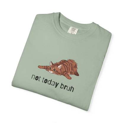 Long hair brown tabby cat Not Today Bruh T-Shirt