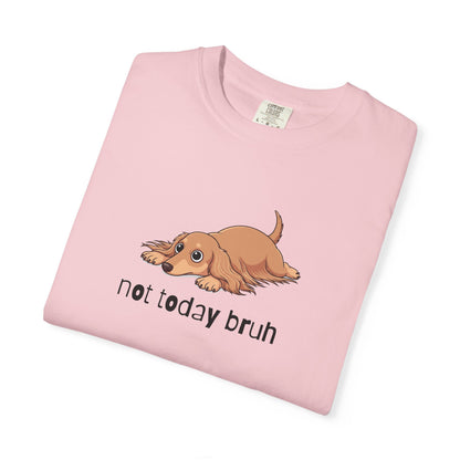 Dacshund Not Today Bruh T-Shirt