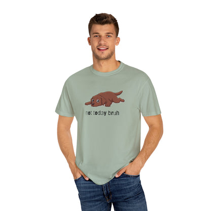 Labrador Not Today Bruh T-Shirt