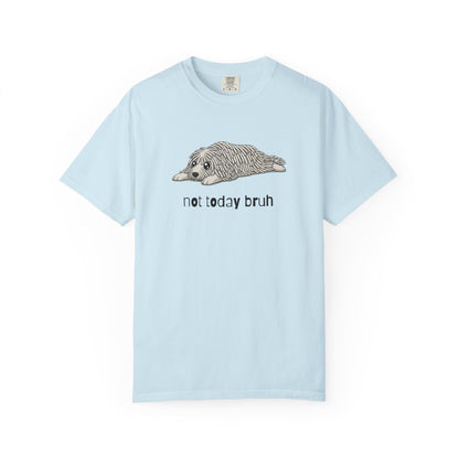 Komondor Not Today Bruh T-Shirt