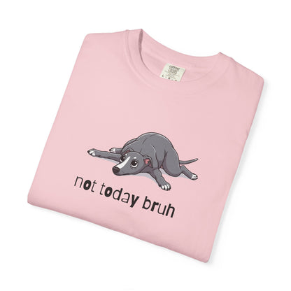 Greyhound Not Today Bruh T-Shirt