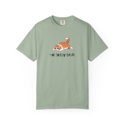 Long hair bi-color orange cat Not Today Bruh T-Shirt