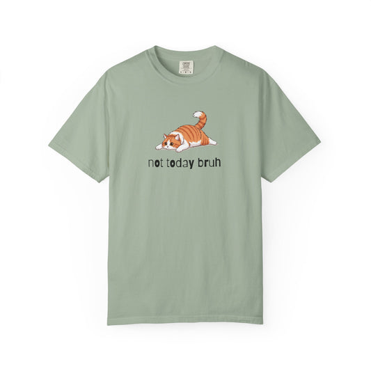 Long hair bi-color orange cat Not Today Bruh T-Shirt