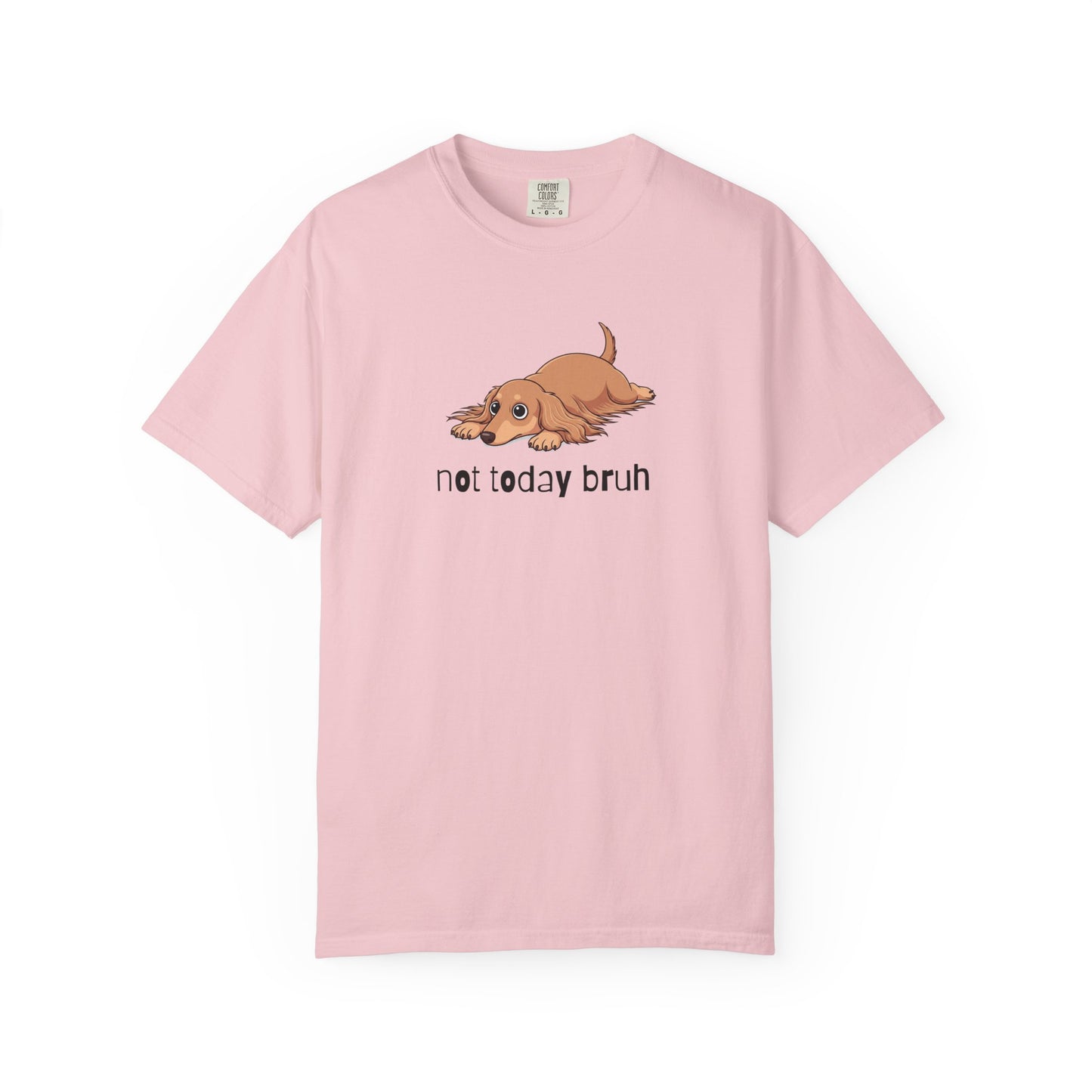 Dacshund Not Today Bruh T-Shirt