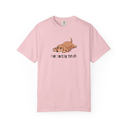 Dacshund Not Today Bruh T-Shirt