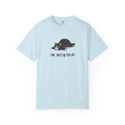 Exotic Shorthair Not Today Bruh T-Shirt
