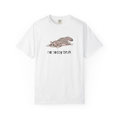 Long hair silver tabby cat Not Today Bruh T-Shirt