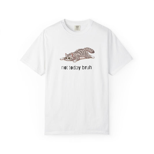 Long hair silver tabby cat Not Today Bruh T-Shirt