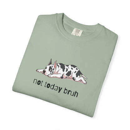 Great Dane Not Today Bruh T-Shirt