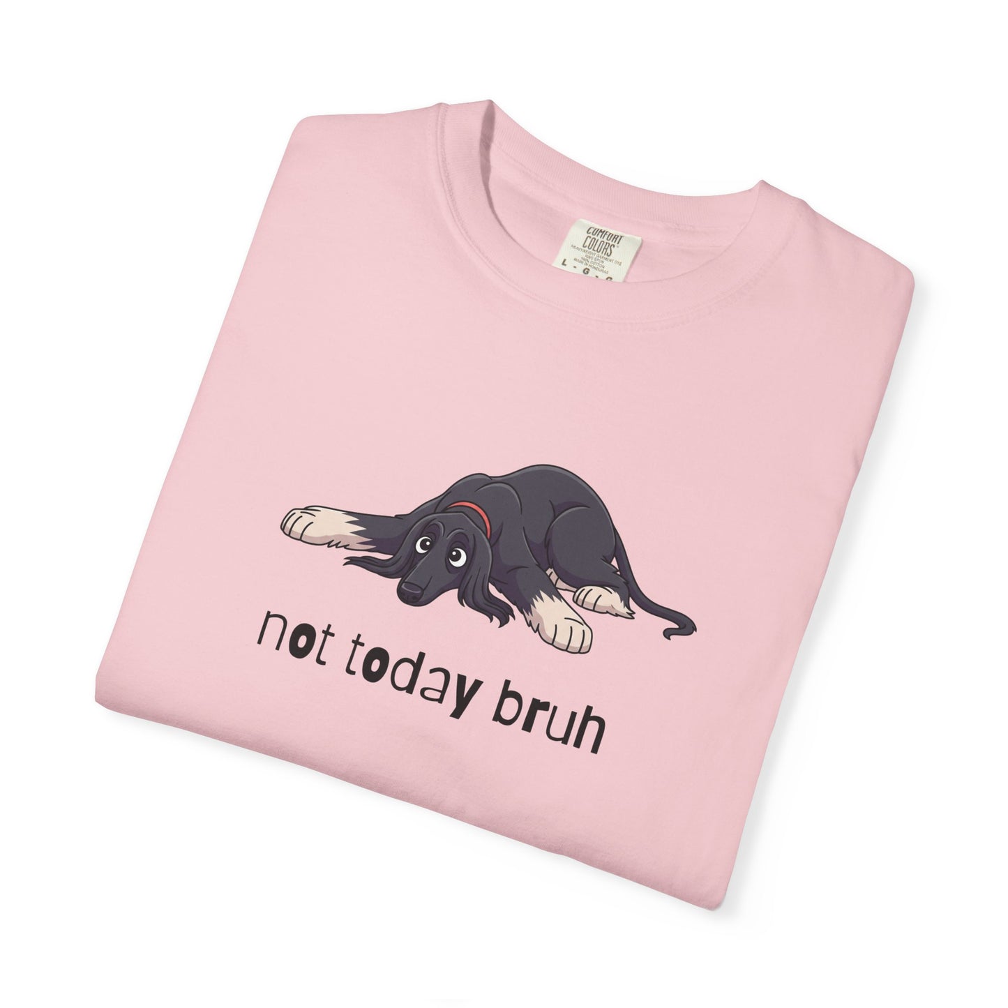 Afghan Hound Not Today Bruh T-Shirt