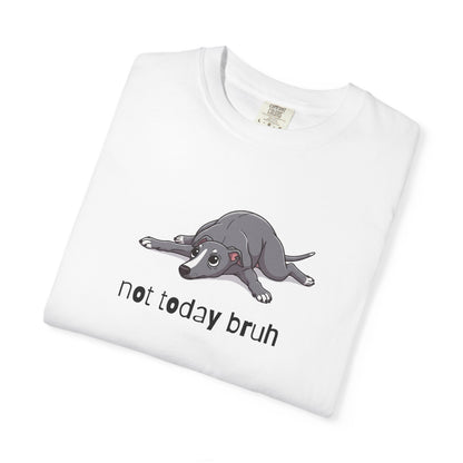 Greyhound Not Today Bruh T-Shirt
