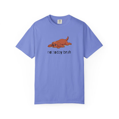 Cavalier Not Today Bruh T-Shirt