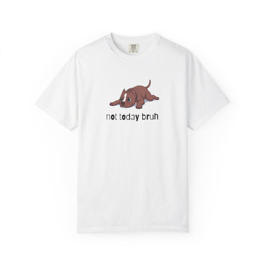 Pitbull Not Today Bruh T-Shirt