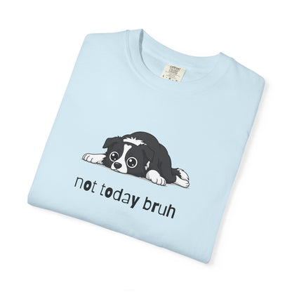 Border Collie Not Today Bruh T-Shirt