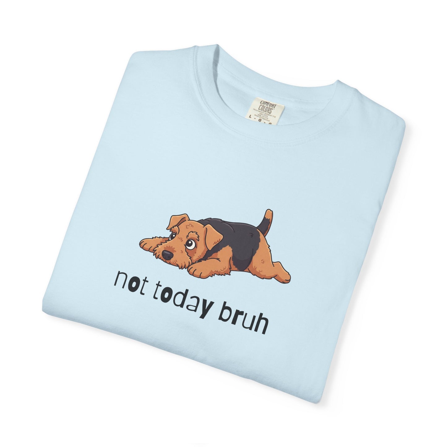 Welshie Not Today Bruh T-Shirt