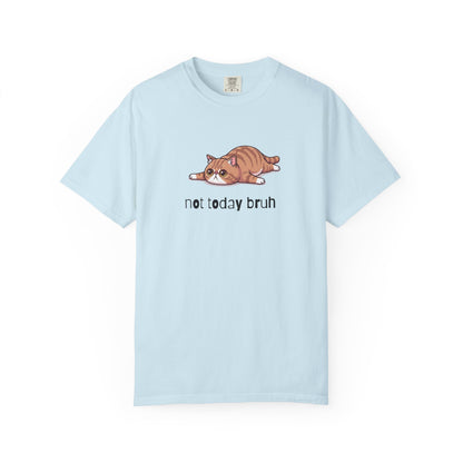 Exotic Shorthair Not Today Bruh T-Shirt