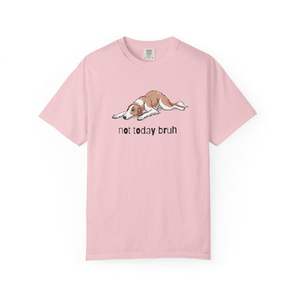 Borzoi Not Today Bruh T-Shirt