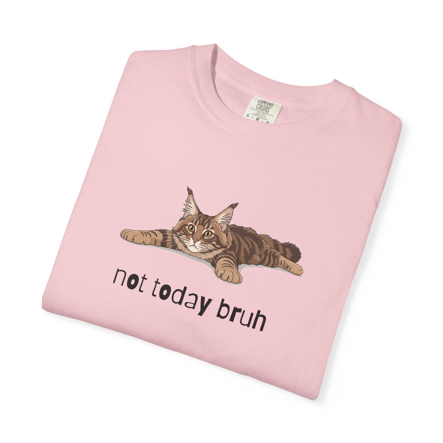 Maine Coon Not Today Bruh T-Shirt