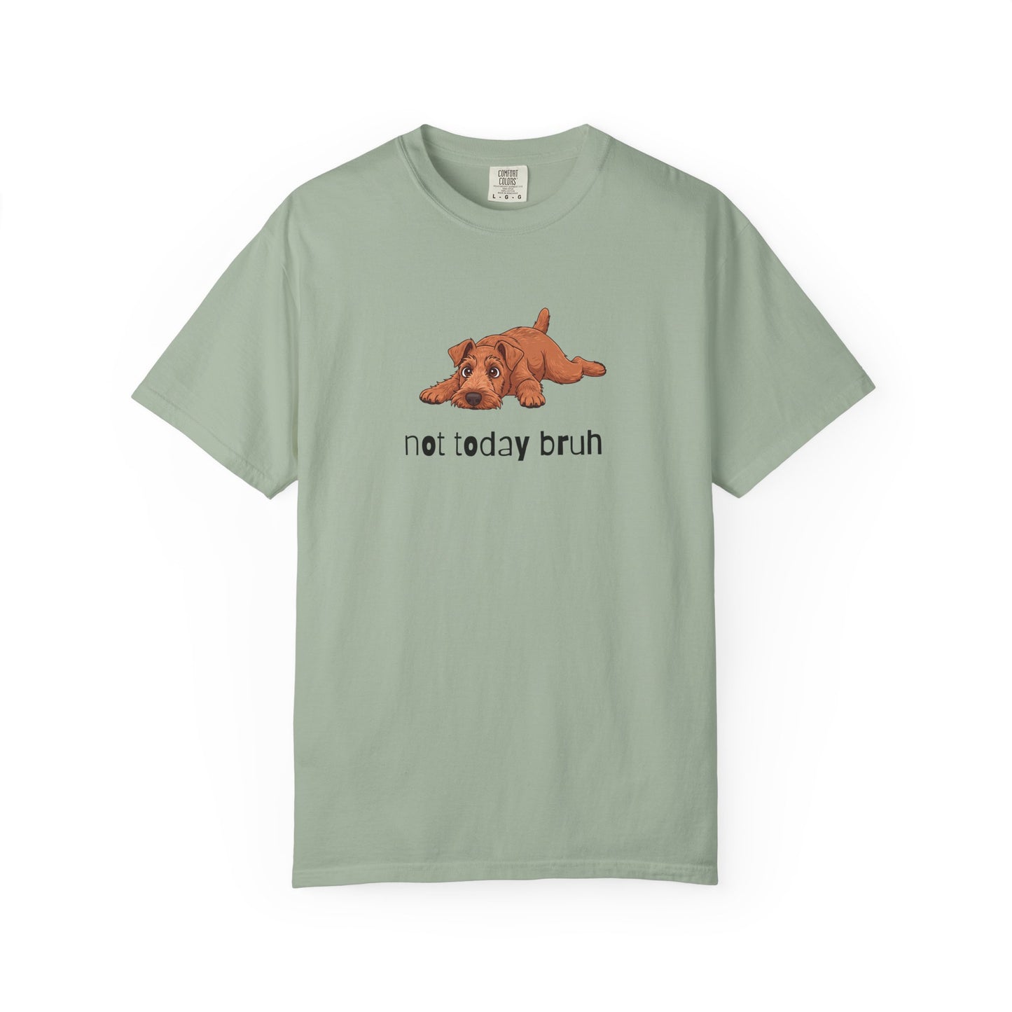 Irish Terrier Not Today Bruh T-Shirt