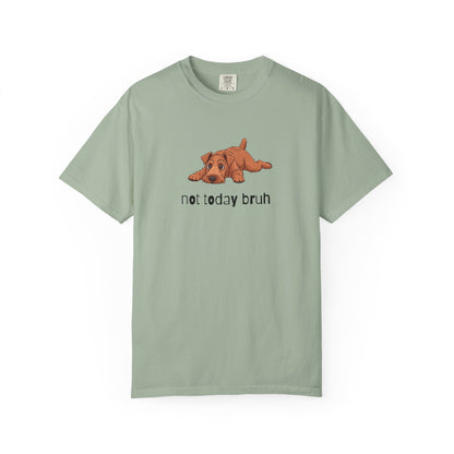 Irish Terrier Not Today Bruh T-Shirt
