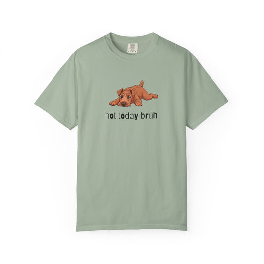 Irish Terrier Not Today Bruh T-Shirt