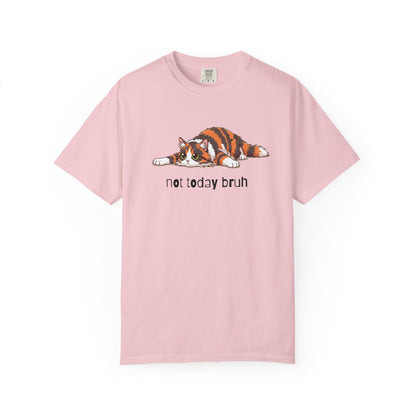 Long hair tortoiseshell cat Not Today Bruh T-Shirt