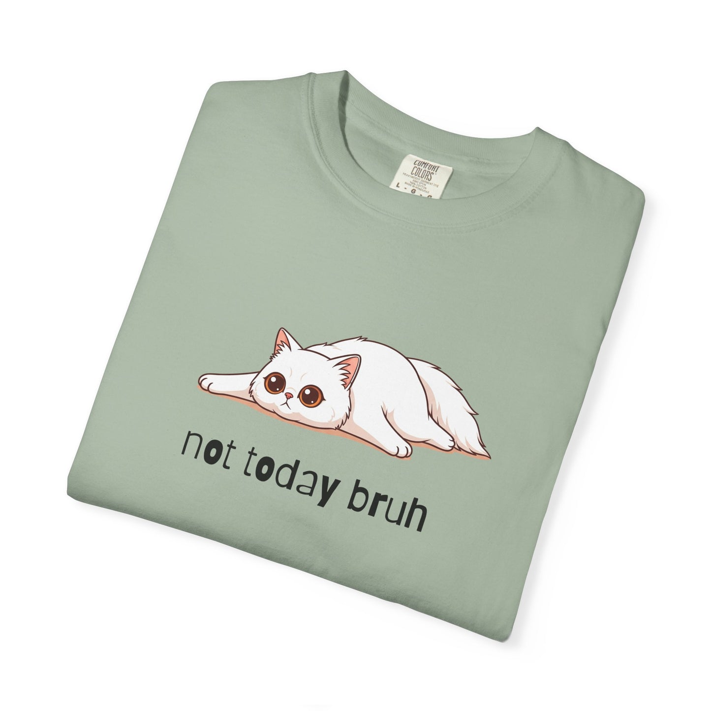 Persian Not Today Bruh T-Shirt