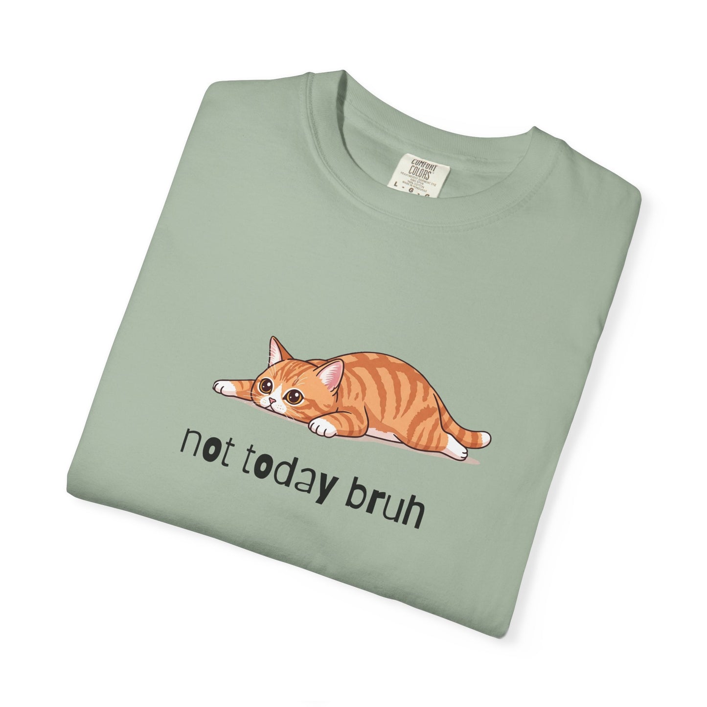 Short hair bi-color orange cat Not Today Bruh T-Shirt