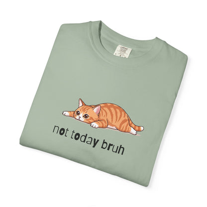 Short hair bi-color orange cat Not Today Bruh T-Shirt