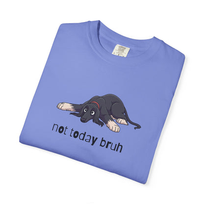 Afghan Hound Not Today Bruh T-Shirt